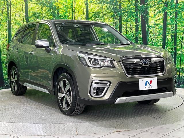 FORESTER