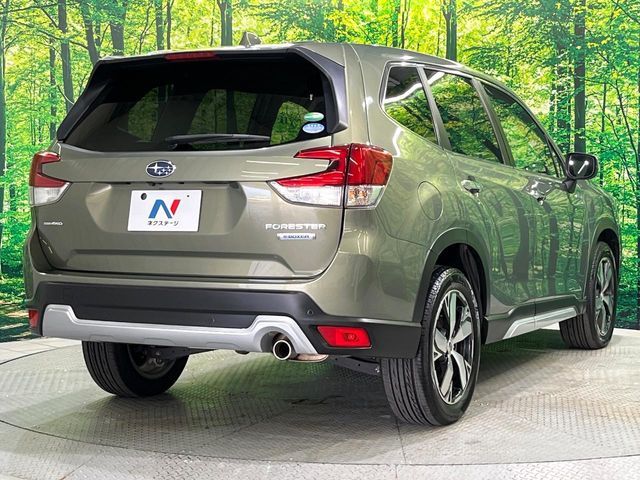 FORESTER