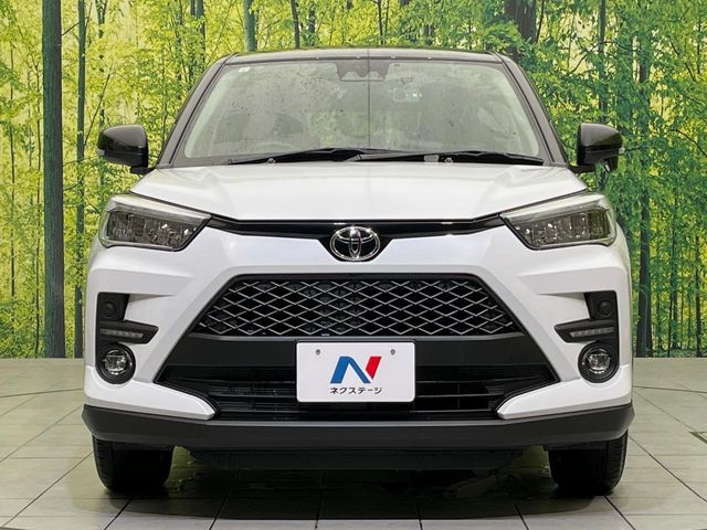 RAIZE