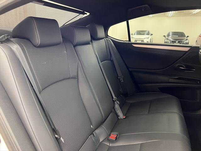 LEXUS ES300h