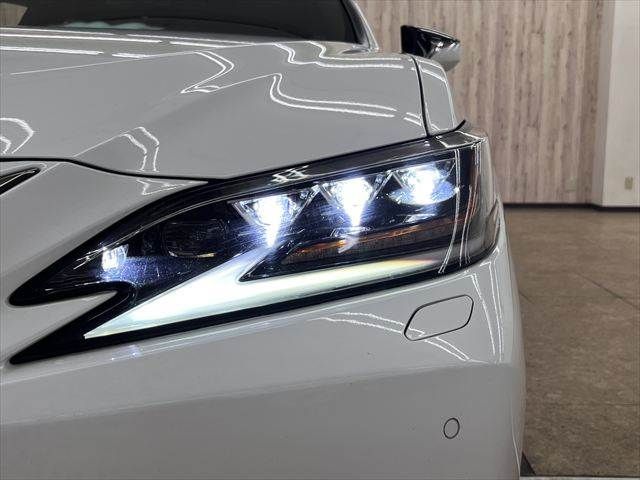 LEXUS ES300h
