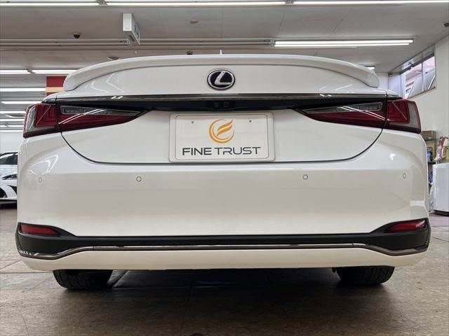 LEXUS ES300h