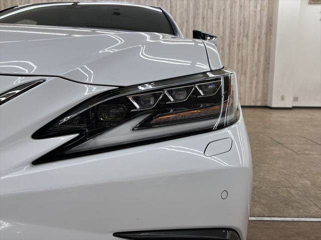 LEXUS ES300h