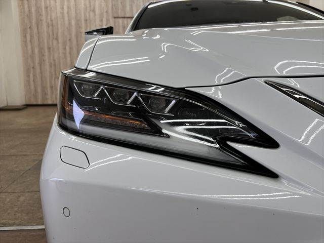 LEXUS ES300h