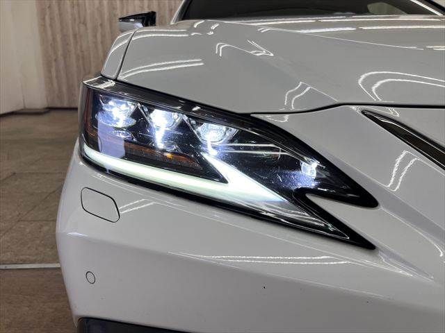 LEXUS ES300h