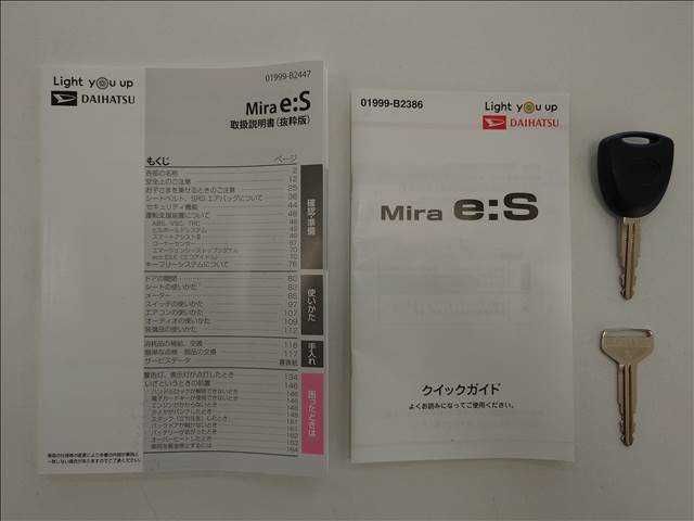 MIRA e:S
