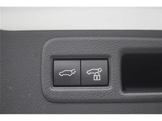 HARRIER PHEV