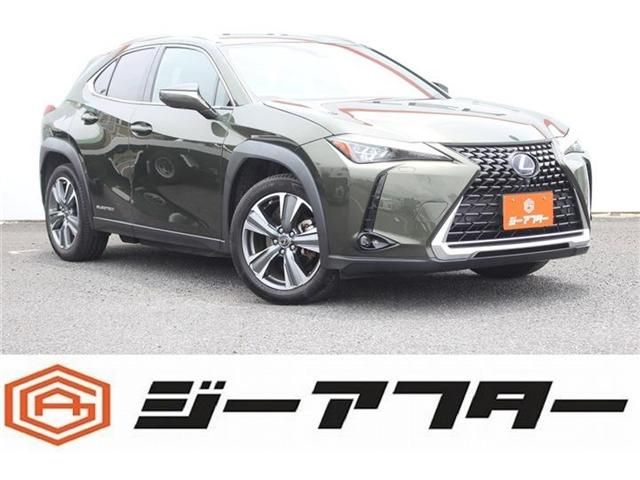 LEXUS UX300e