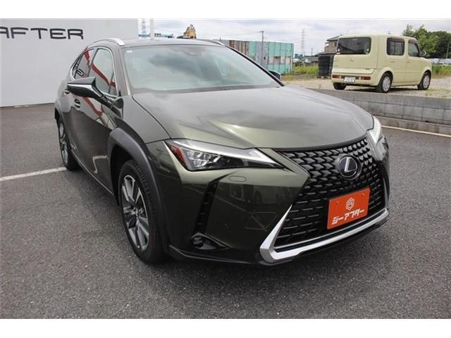 LEXUS UX300e