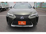 LEXUS UX300e