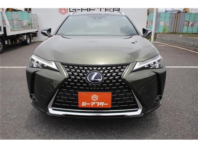 LEXUS UX300e