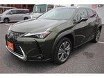 LEXUS UX300e