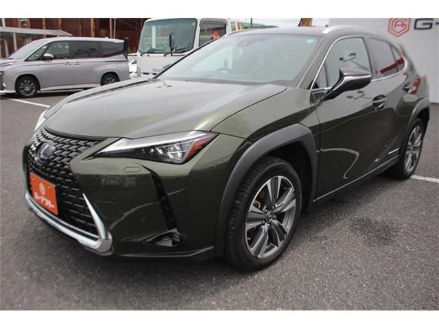 LEXUS UX300e
