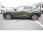 LEXUS UX300e