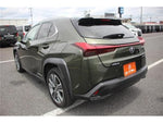 LEXUS UX300e