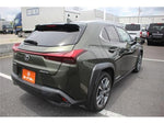 LEXUS UX300e