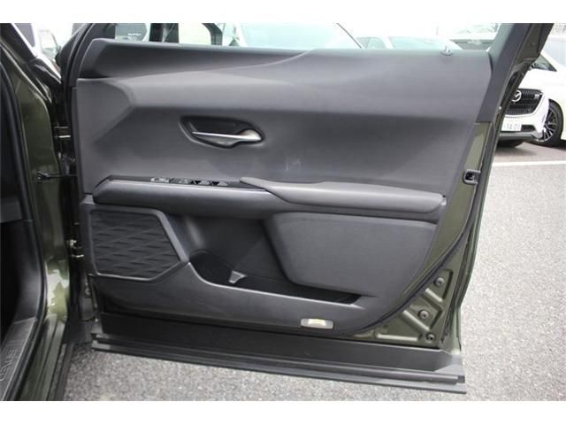 LEXUS UX300e