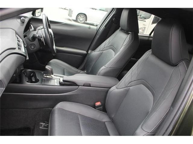 LEXUS UX300e