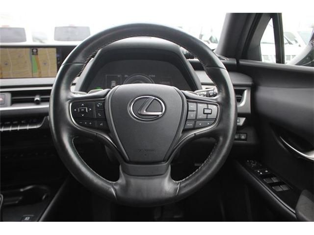 LEXUS UX300e