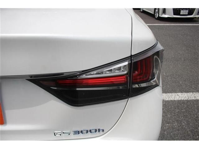 LEXUS GS300h