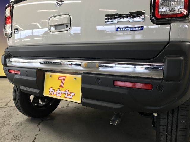 HUSTLER