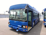 Blue Ribbon