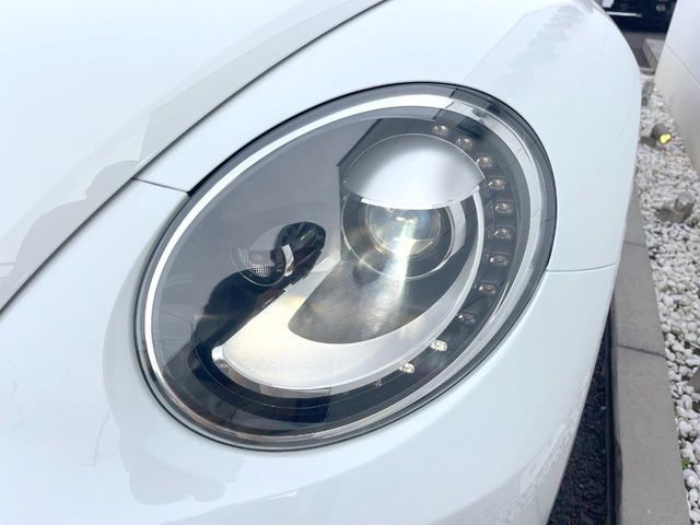 VOLKSWAGEN The BEETLE