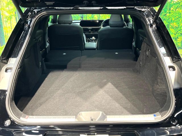 CROWN SPORT