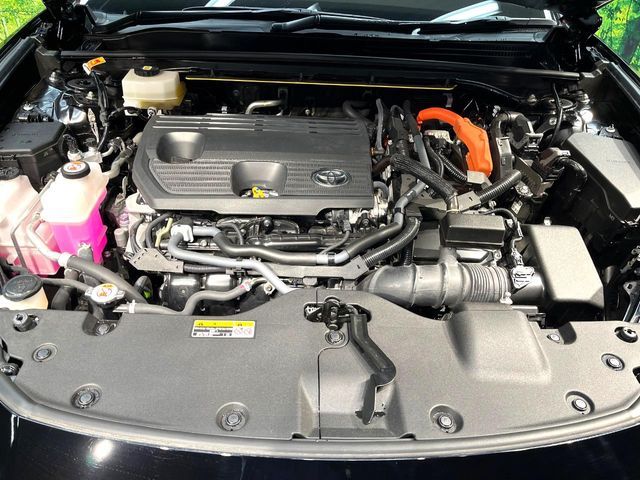 CROWN SPORT