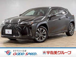 LEXUS UX250h