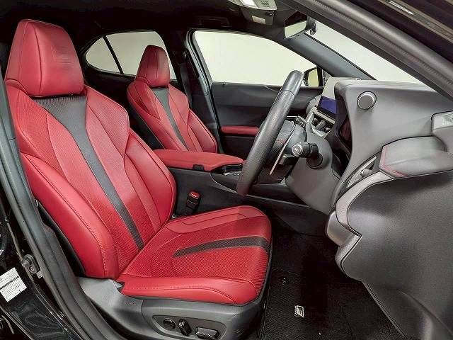 LEXUS UX250h