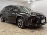 LEXUS UX250h