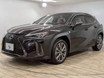 LEXUS UX250h