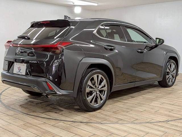 LEXUS UX250h