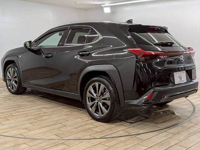 LEXUS UX250h