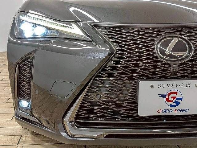LEXUS UX250h