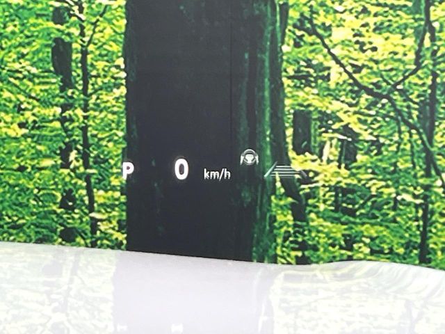 CROWN SPORT