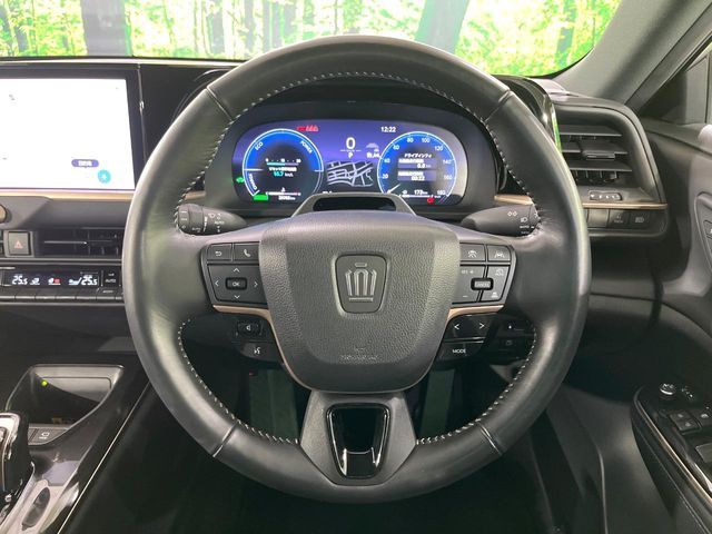CROWN SPORT