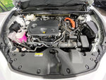 CROWN SPORT