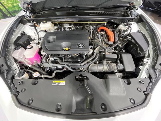 CROWN SPORT