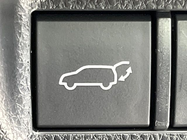 RAV4 HYBRID 4WD