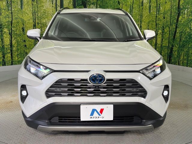 RAV4 HYBRID 4WD