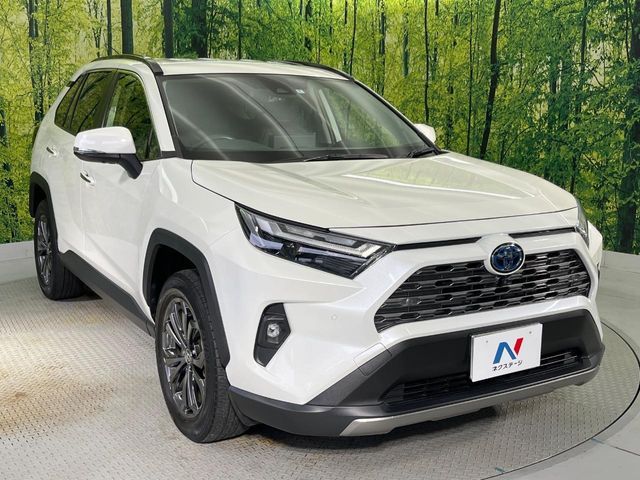 RAV4 HYBRID 4WD