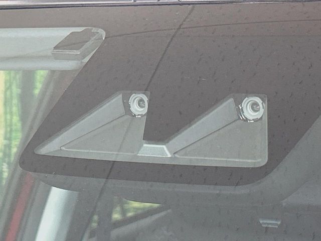 RAIZE HYBRID