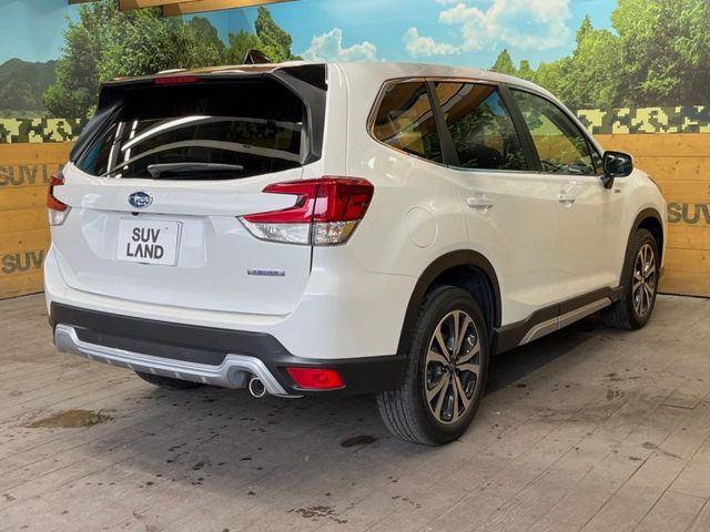 FORESTER