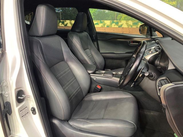 LEXUS NX300h