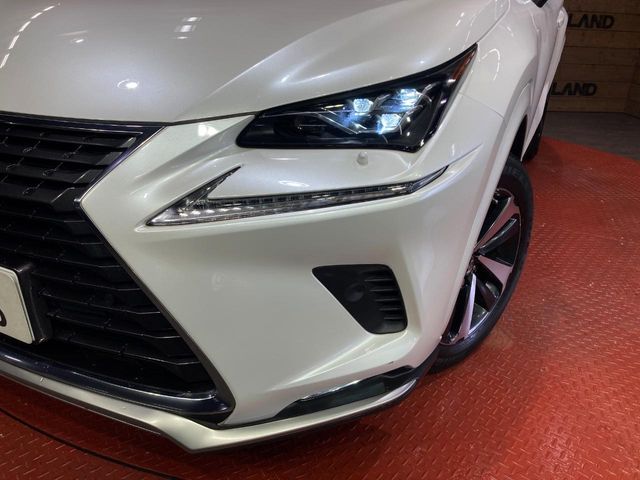LEXUS NX300h