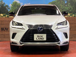 LEXUS NX300h