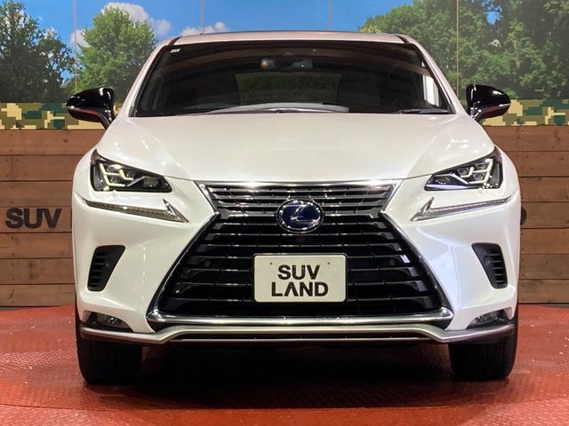 LEXUS NX300h