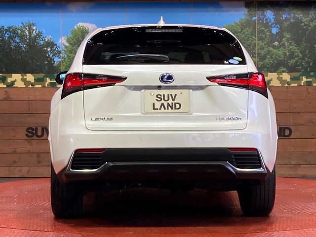 LEXUS NX300h